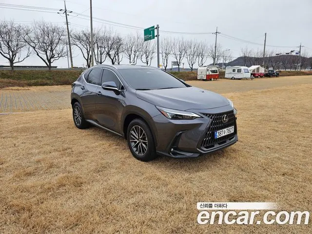 LEXUS NX450H+ 2024