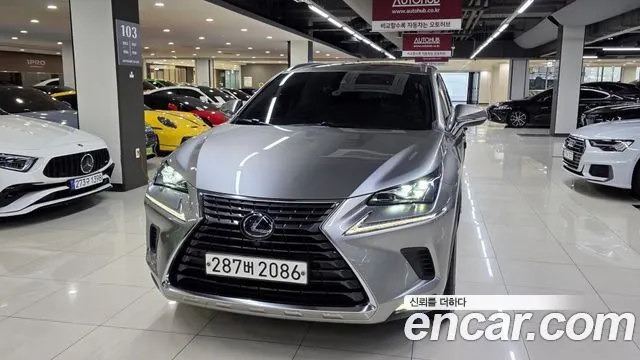 LEXUS NX300H 2021