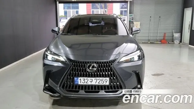 LEXUS NX350H 2024