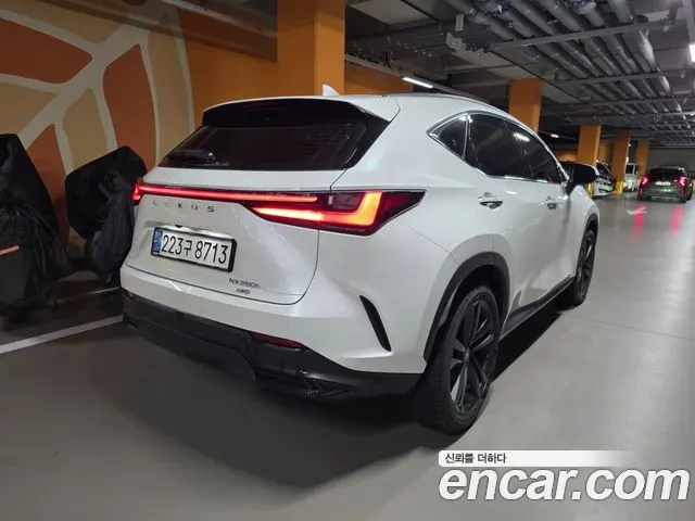 LEXUS NX350H 2025 — 14 000 км, белый, Корея — под ключ — фото 2