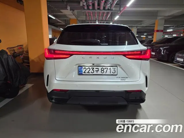 LEXUS NX350H 2025 — 14 000 км, белый, Корея — под ключ — фото 4