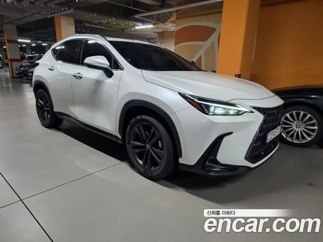 LEXUS NX350H 2025 — 14 000 км, белый, Корея — под ключ — фото 5