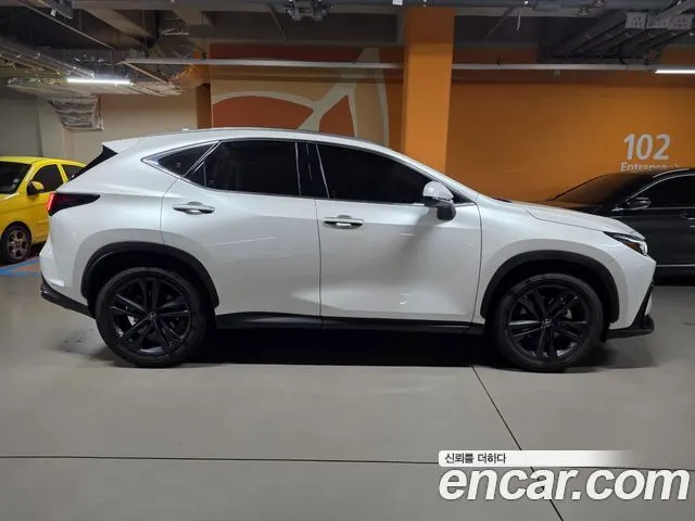 LEXUS NX350H 2025 — 14 000 км, белый, Корея — под ключ — фото 6