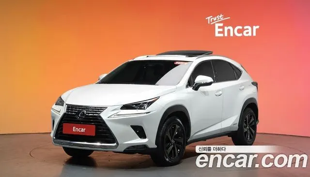 LEXUS NX300H 2019 — 77 423 км, белый, Корея — под ключ — фото 2