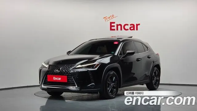 LEXUS UX250H — из Кореи под ключ