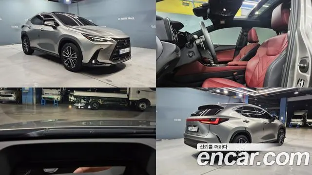 LEXUS NX350H — из Кореи под ключ