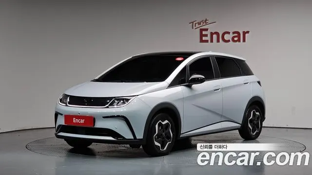 BYD DOLPHIN — из Кореи под ключ