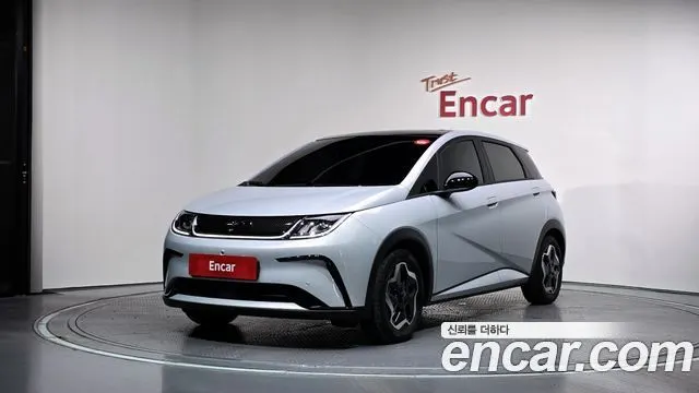 BYD DOLPHIN — из Кореи под ключ