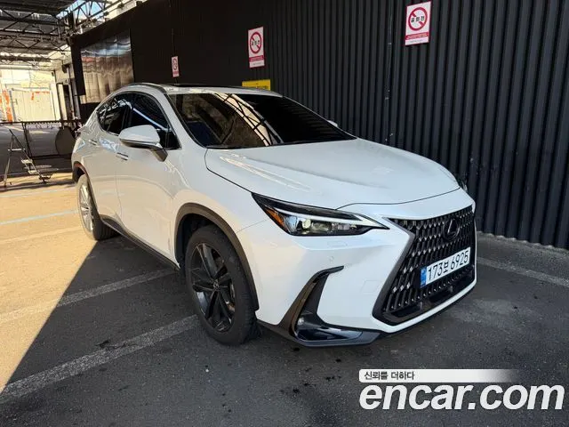 LEXUS NX350H 2025 — 31 500 км, белый, Корея — под ключ — фото 2