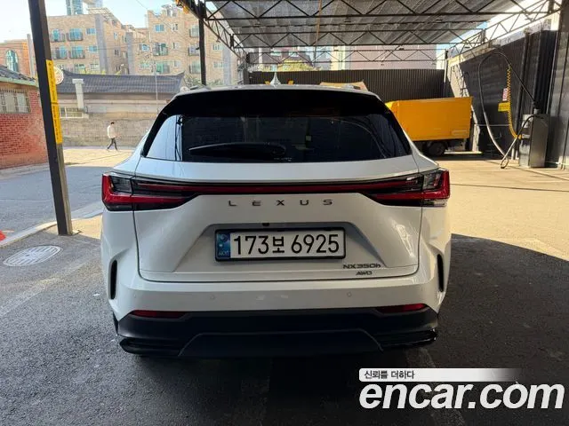 LEXUS NX350H 2025 — 31 500 км, белый, Корея — под ключ — фото 4