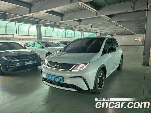 BYD DOLPHIN — из Кореи под ключ