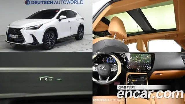 LEXUS NX350H — из Кореи под ключ