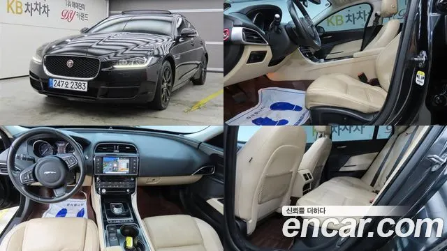 JAGUAR XE — из Кореи под ключ