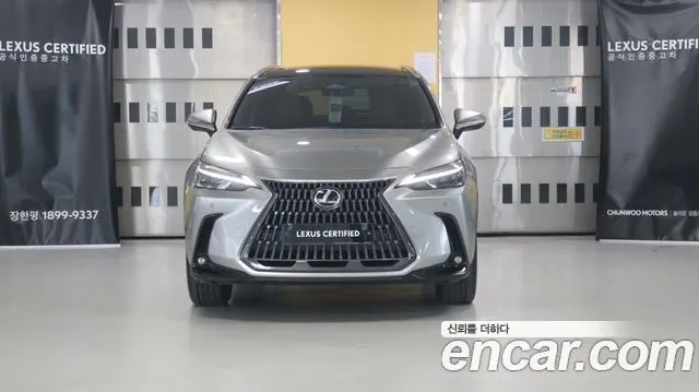 LEXUS NX350H 2025 — 31 455 км, светло-серебристый, Корея — под ключ — фото 3