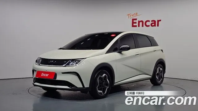 BYD DOLPHIN — из Кореи под ключ
