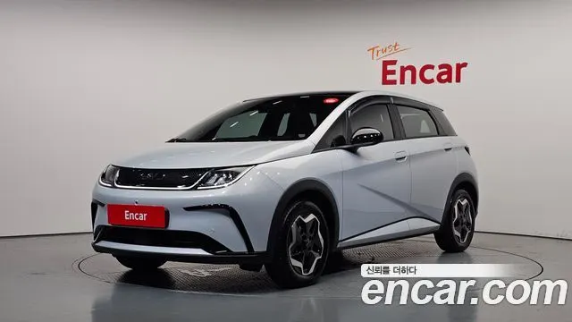 BYD DOLPHIN — из Кореи под ключ
