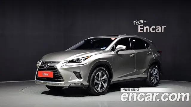 LEXUS NX300H 2019 — 94 874 км, серебристо-серый, Корея — под ключ — фото 1