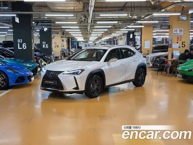 LEXUS UX300H — из Кореи под ключ
