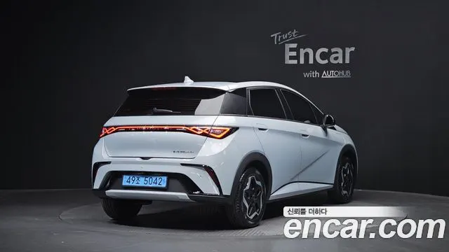 BYD DOLPHIN — из Кореи под ключ