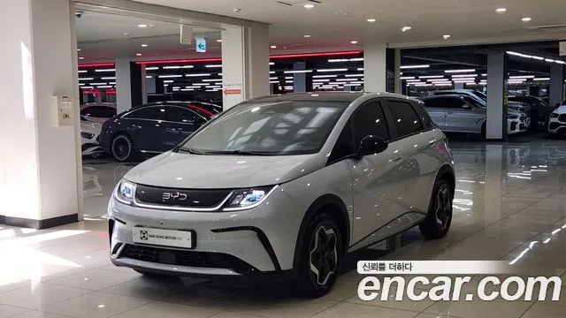 BYD DOLPHIN — из Кореи под ключ