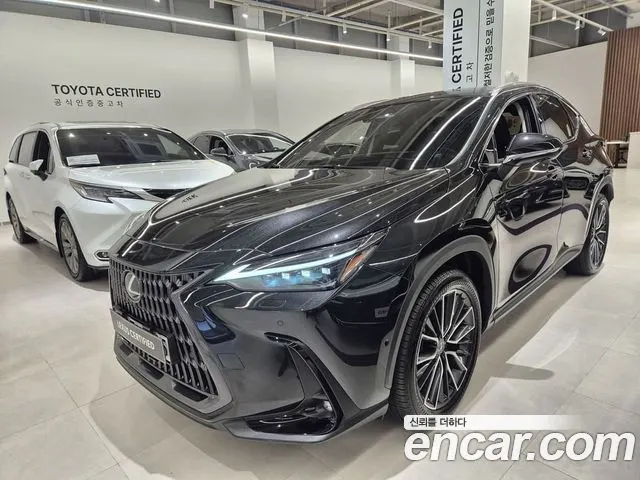 LEXUS NX350H — из Кореи под ключ