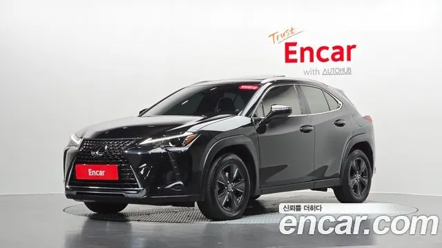 LEXUS UX250H 2024