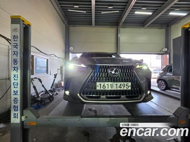 LEXUS NX350H — из Кореи под ключ