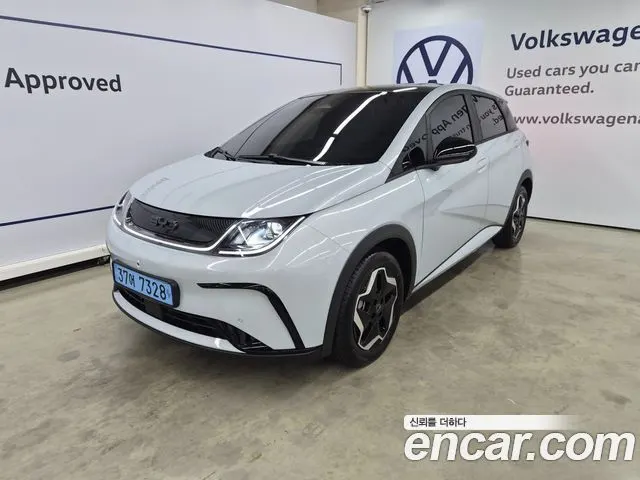 BYD DOLPHIN — из Кореи под ключ