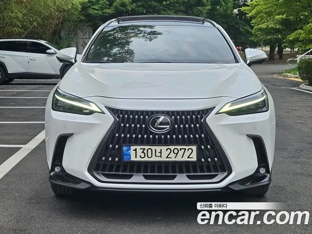 LEXUS NX350H 2024