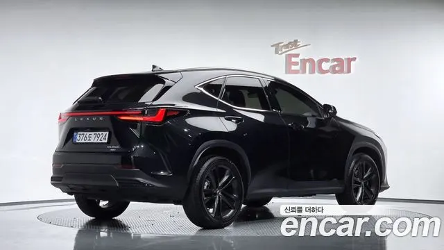 LEXUS NX350H 2025