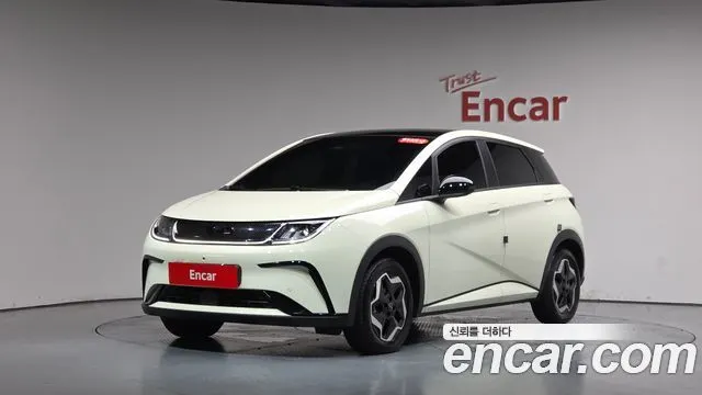 BYD DOLPHIN — из Кореи под ключ