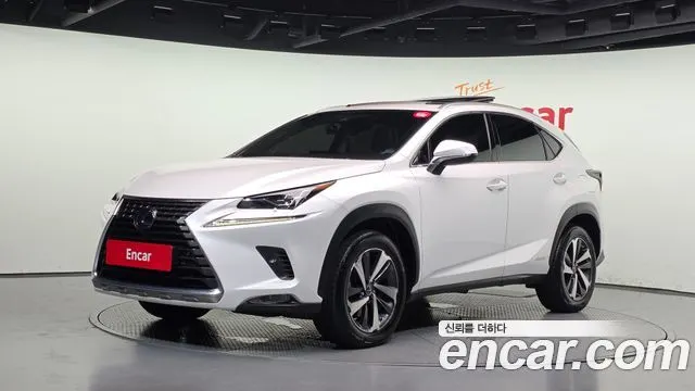 LEXUS NX300H 2019