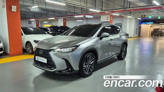 LEXUS NX350H 2026 — 5 150 км, светло-золотистый, Корея — под ключ — фото 12