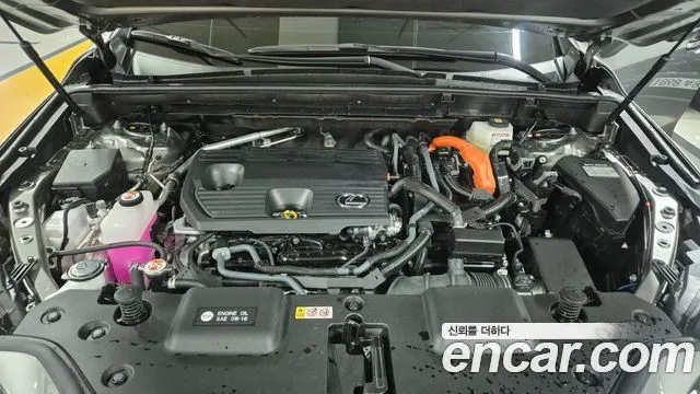 LEXUS NX350H 2026 — 5 150 км, светло-золотистый, Корея — под ключ — фото 6