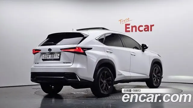 LEXUS NX300H 2019 — 128 169 км, белый, Корея — под ключ — фото 1