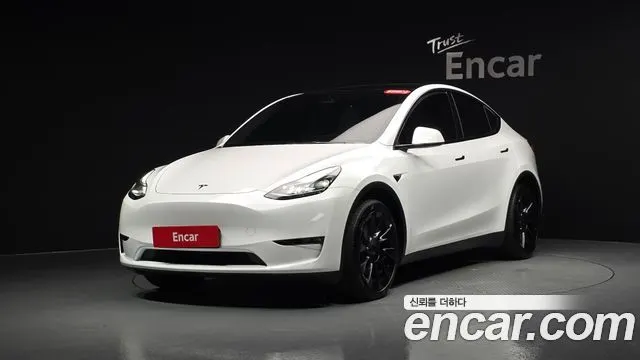 TESLA MODEL Y — из Кореи под ключ