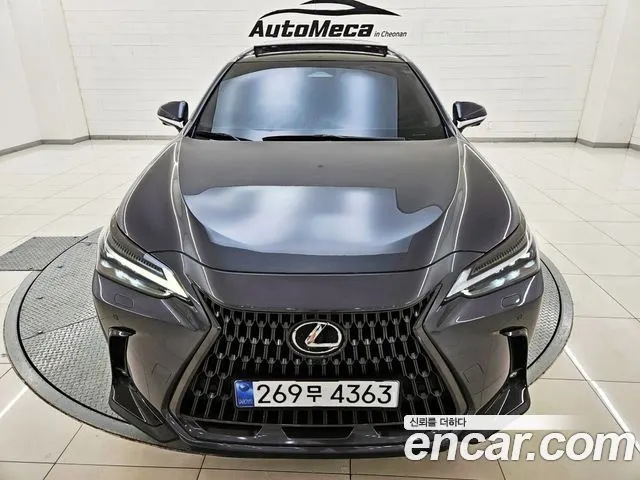 LEXUS NX350H 2024