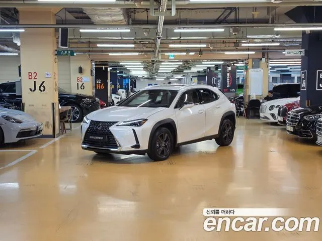 LEXUS UX300H 2026 — 2 597 км, белый, Корея — под ключ — фото 11