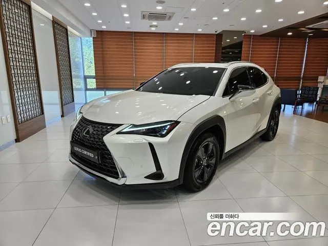 LEXUS UX300H — из Кореи под ключ