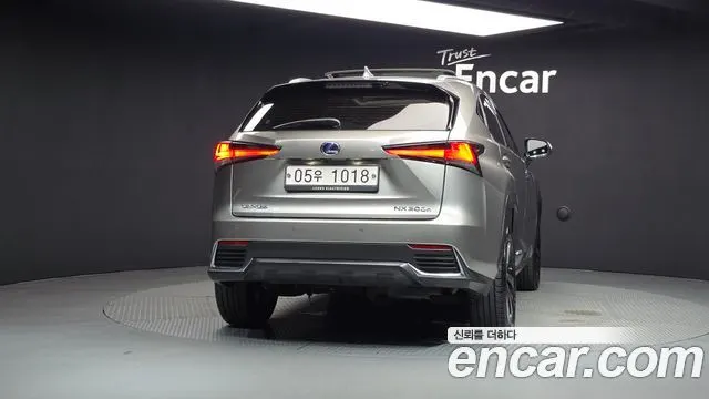 LEXUS NX300H 2019 — 197 202 км, светло-золотистый, Корея — под ключ — фото 4