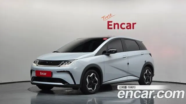 BYD DOLPHIN — из Кореи под ключ