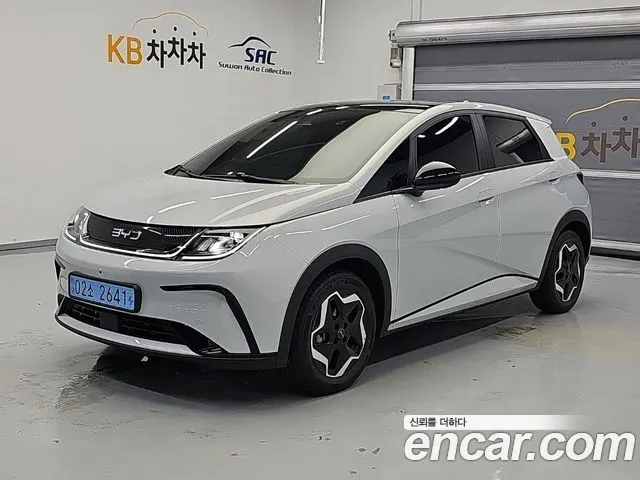 BYD DOLPHIN — из Кореи под ключ