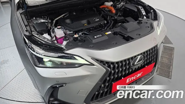 LEXUS NX350H 2025 — 26 785 км, серебристо-серый, Корея — под ключ — фото 6