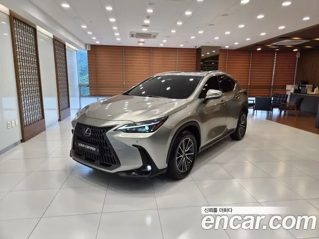 LEXUS NX450H+ 2025 — 19 659 км, серебристо-серый, Корея — под ключ — фото 12