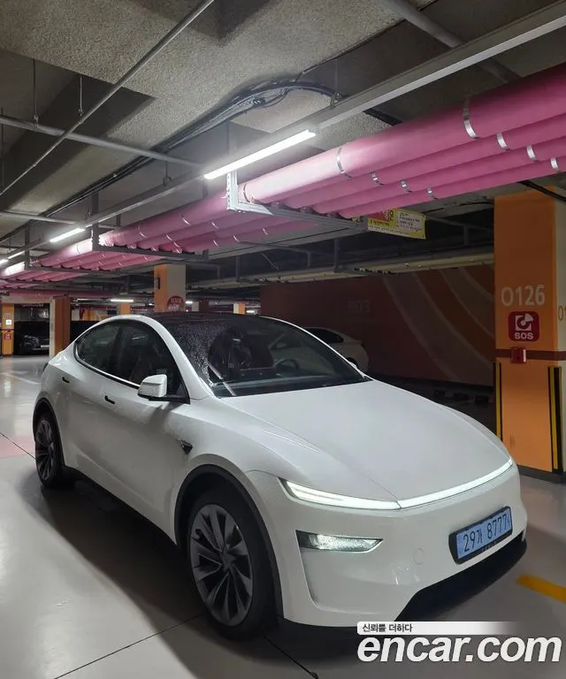 TESLA MODEL Y — из Кореи под ключ