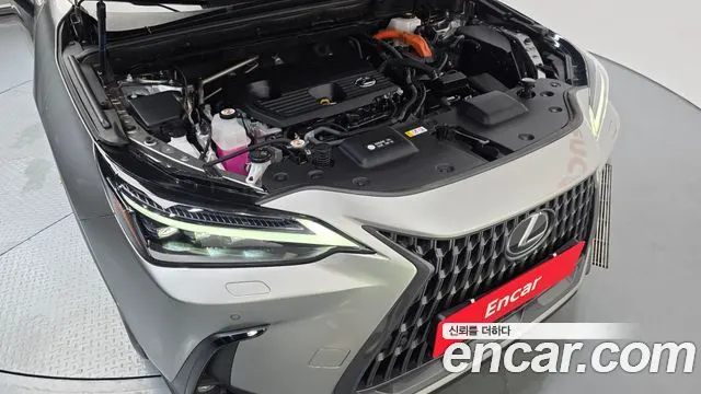 LEXUS NX350H 2024 — 30 391 км, серебристо-серый, Корея — под ключ — фото 6
