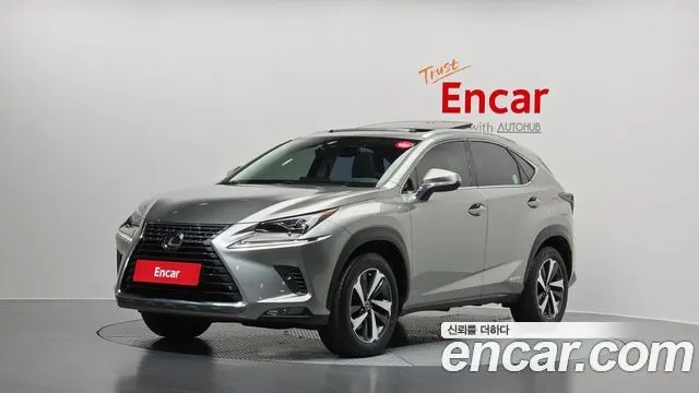 LEXUS NX300H 2021