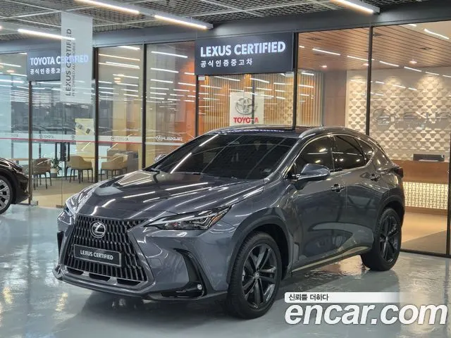 LEXUS NX350H 2025 — 46 870 км, серый, Корея — под ключ — фото 1