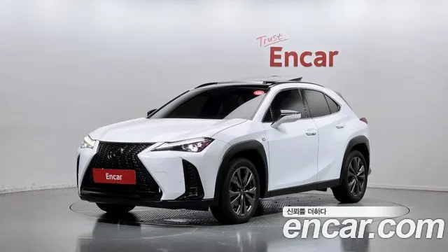 LEXUS UX250H 2024