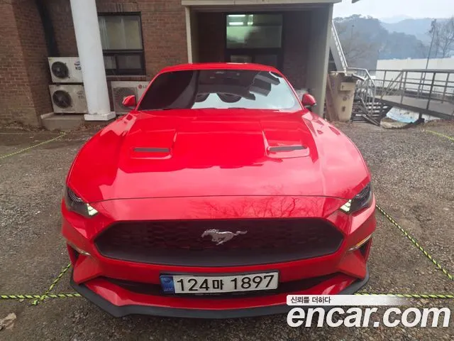 FORD MUSTANG — из Кореи под ключ